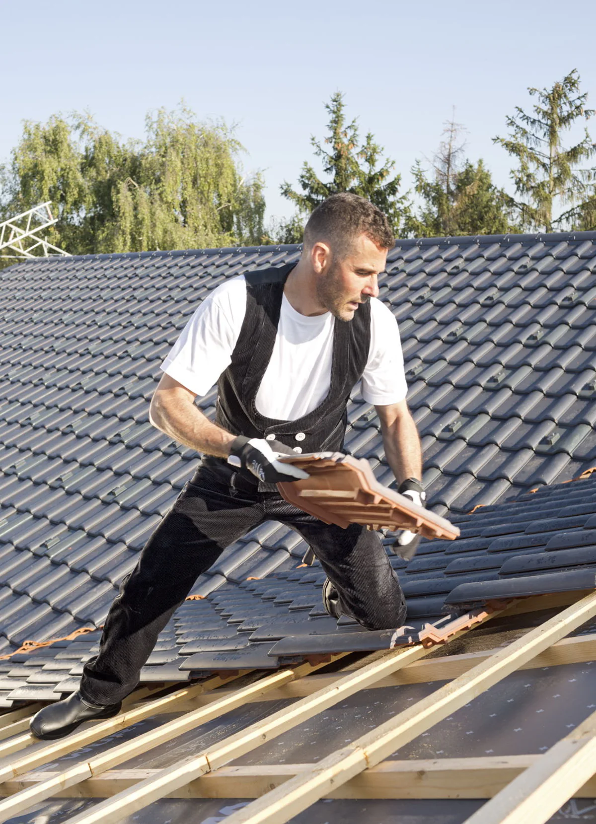 Axel Jomeyer Portrait 1,5 MB.jpg