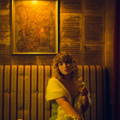 Amelie Cachée – Foto 9