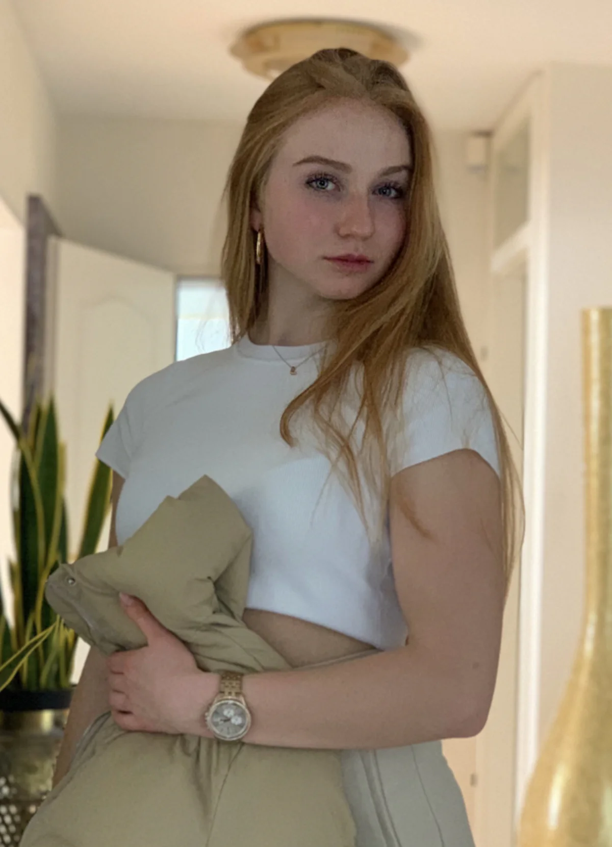 Model.jpg