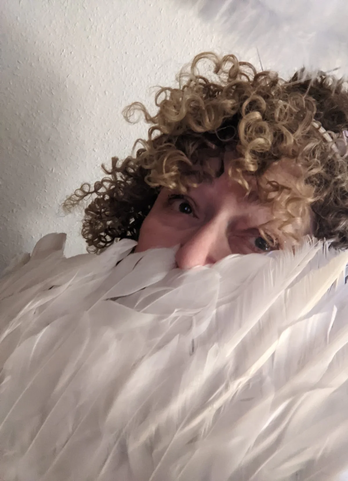 portrait.jpg