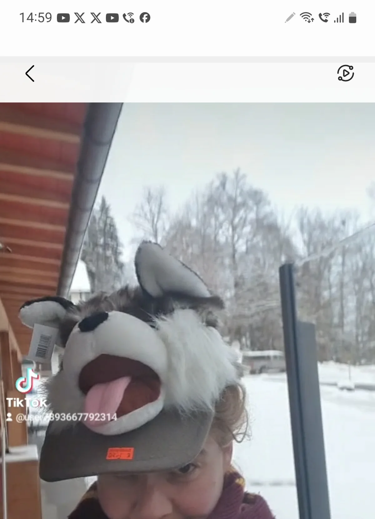 Screenshot_20250516-234850_TikTok.jpg