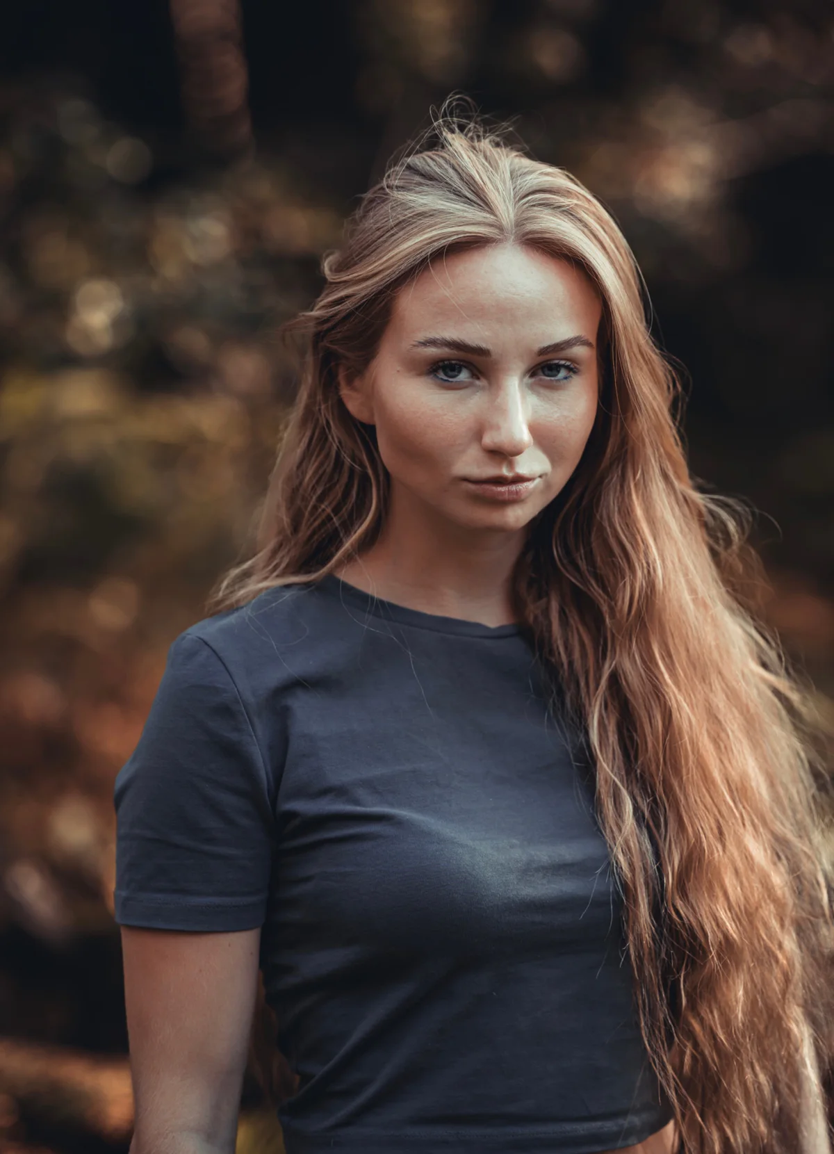 Model.jpg