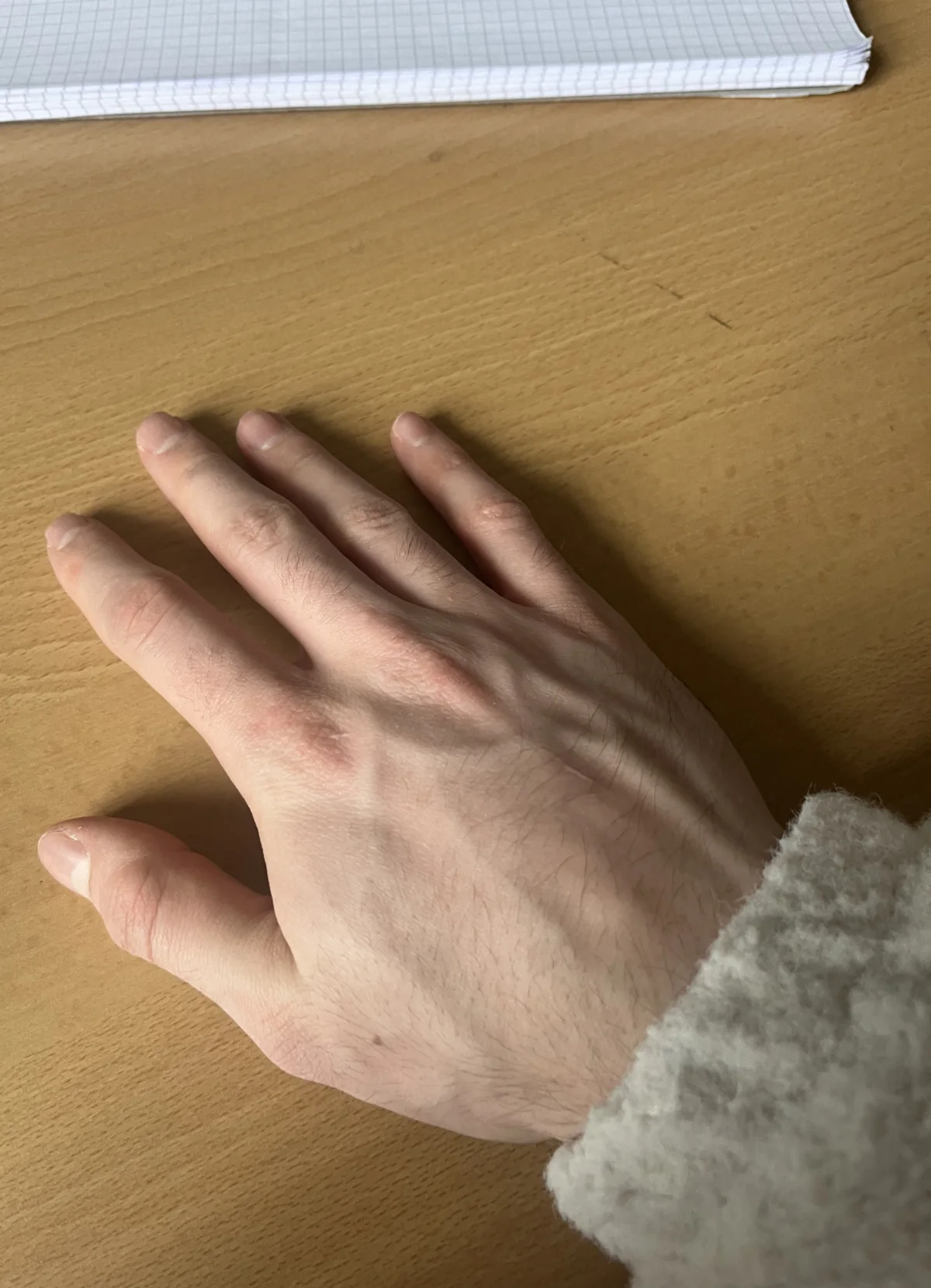 IMG_7671.png
