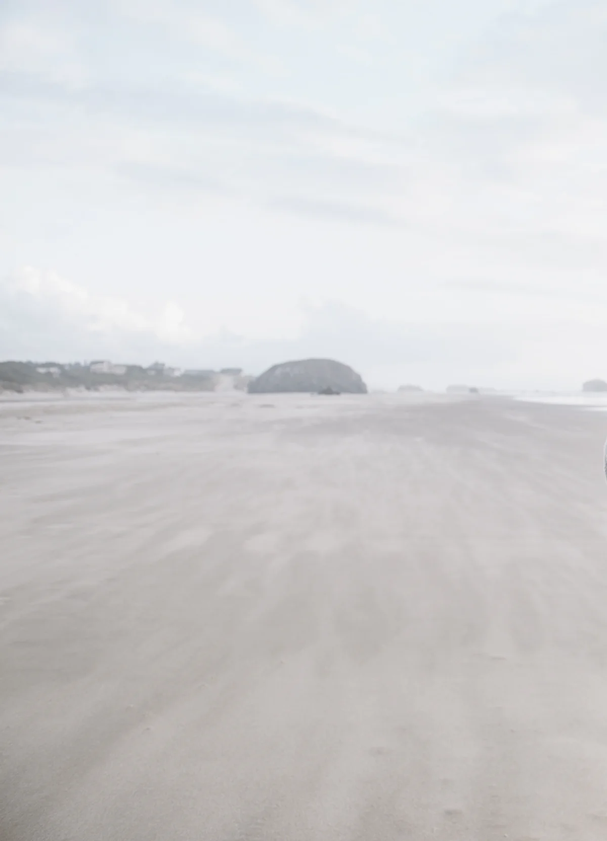 _DSC3227 2 2.jpeg