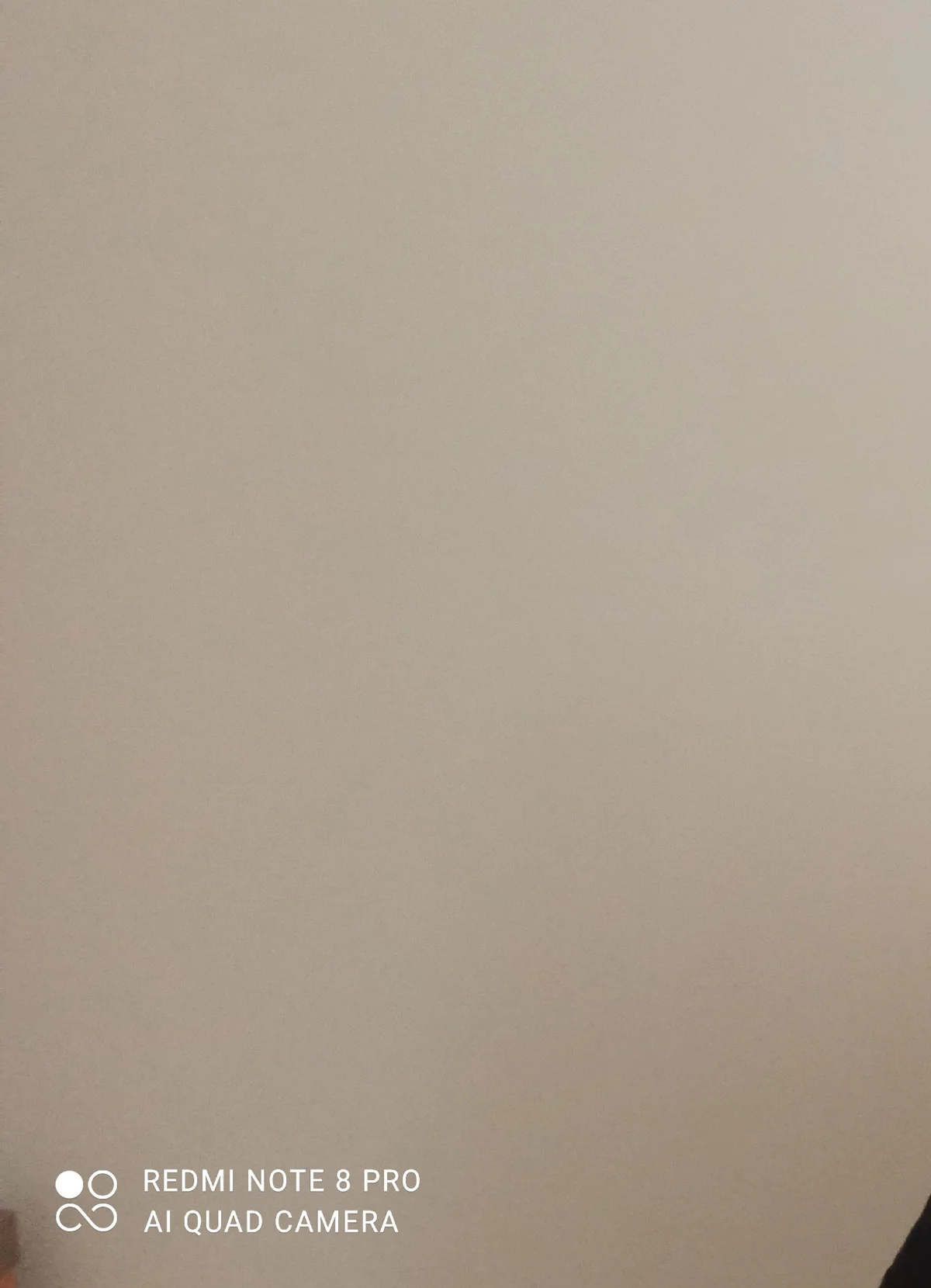 Sebastian_Studio_2025-22 (1).jpg